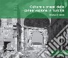Cultura e prassi della conservazione in Turchia libro