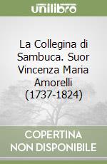 La Collegina di Sambuca. Suor Vincenza Maria Amorelli (1737-1824) libro