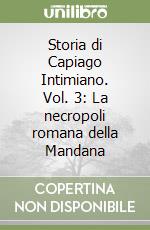 Storia di Capiago Intimiano. Vol. 3: La necropoli romana della Mandana libro