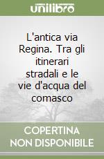 L'antica via Regina. Tra gli itinerari stradali e le vie d'acqua del comasco libro