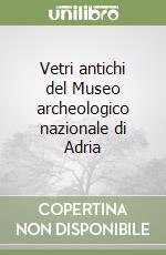 Vetri antichi del Museo archeologico nazionale di Adria libro