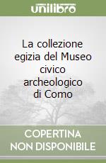 La collezione egizia del Museo civico archeologico di Como libro