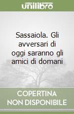 Sassaiola. Gli avversari di oggi saranno gli amici di domani libro