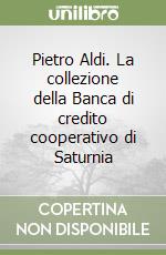 Pietro Aldi. La collezione della Banca di credito cooperativo di Saturnia