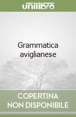 Grammatica aviglianese libro