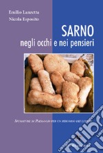 Sarno negli occhi e nei pensieri. Sfumature di paesaggio per un percorso dei luoghi. Ediz. illustrata