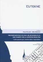 Predisposizione e ruolo del business plan nell'ambito della gestione delle PMI. Guida operativa per commercialisti e imprenditori