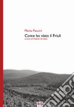 Come ho visto il Friuli. Ediz. critica