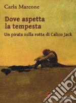 Dove aspetta la tempesta. Un pirata sulla rotta di Calico Jack libro