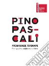 Pino Pascali. From image to shape. Photographs, sculptures and films. Ediz. italiana e inglese libro