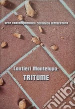 Cantieri Montelupo: Tritume. Arte contemporanea ceramica letteratura. Ediz. italiana e inglese libro