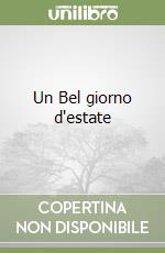 Un Bel giorno d'estate libro