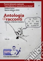 Antologia di racconti dedicata a Fabrizio Catalano. Premio letterario nazionale «Caro Fabrizio, ti racconto di un ritorno». Sezione junior. Quarta edizione 2018 libro