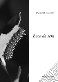 Baco da sera