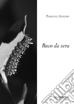 Baco da sera