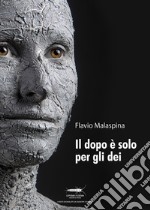 Il dopo è solo per gli dei libro