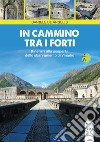 In cammino tra i forti. Itinerari alla scoperta dello sbarramento di Vinadio libro