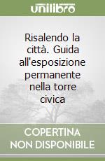 Risalendo la città. Guida all'esposizione permanente nella torre civica libro