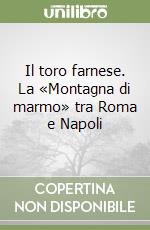 Il toro farnese. La «Montagna di marmo» tra Roma e Napoli libro