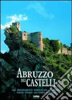 Abruzzo dei castelli. Gli insediamenti fortificati abruzzesi dagli italici all'unità d'Italia