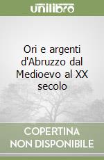 Ori e argenti d'Abruzzo dal Medioevo al XX secolo libro