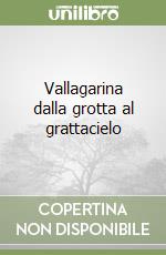 Vallagarina dalla grotta al grattacielo libro