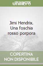 Jimi Hendrix. Una foschia rosso porpora