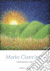 Mario Cianciotti. Armonia di forma e colori libro