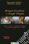 Pompei Ercolano e Campi Flegrei. Luci e colori di un suggestivo e spettacolare percorso archeologico unico al mondo. Con DVD video libro di Mollica Emanuele Caputo Massimo