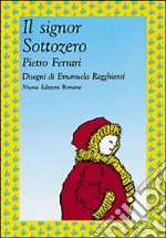 Il signor Sottozero libro