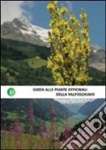 Guida alle piante officinali della Valposchiavo libro