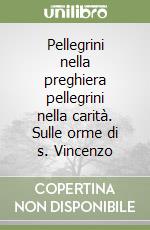 Pellegrini nella preghiera pellegrini nella carità. Sulle orme di s. Vincenzo libro