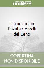 Escursioni in Pasubio e valli del Leno libro