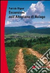 Escursioni sull'altopiano di Asiago libro