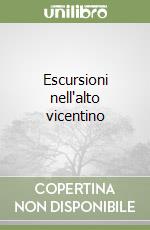 Escursioni nell'alto vicentino libro