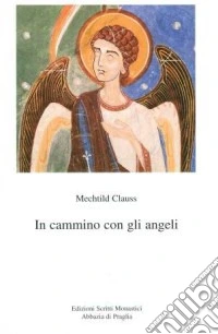 In cammino con gli angeli libro