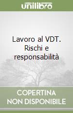 Lavoro al VDT. Rischi e responsabilità libro