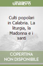 Culti popolari in Calabria. La liturgia, la Madonna e i santi libro