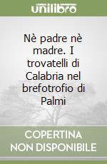 Nè padre nè madre. I trovatelli di Calabria nel brefotrofio di Palmi