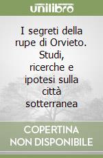 I segreti della rupe di Orvieto. Studi, ricerche e ipotesi sulla città sotterranea