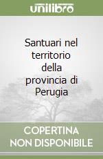 Santuari nel territorio della provincia di Perugia libro