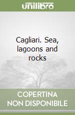 Cagliari. Sea, lagoons and rocks libro