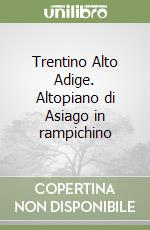 Trentino Alto Adige. Altopiano di Asiago in rampichino