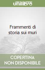 Frammenti di storia sui muri libro