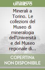 Minerali a Torino. Le collezioni del Museo di mineralogia dell'Università e del Museo regionale di scienze naturali di Torino libro