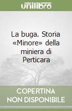 La buga. Storia «Minore» della miniera di Perticara