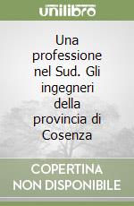 Una professione nel Sud. Gli ingegneri della provincia di Cosenza libro