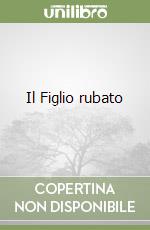 Il Figlio rubato libro