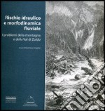 Rischio idraulico e morfodinamica fluviale. I problemi della montagna e della valle di Zoldo