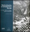 Rischio idraulico e morfodinamica fluviale. I problemi della montagna e della valle di Zoldo libro di Cason Angelini Ester